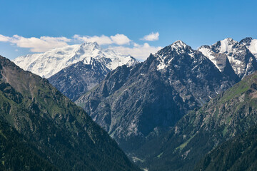 Karakol gorge, Kyrgyzstan. Summer mountain landscape, green forest, high mountains and snowy peaks