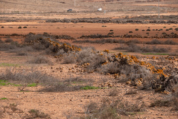 Vista de los campo con gavias para recoger las aguas. La Oliva, Fuerteventura. 