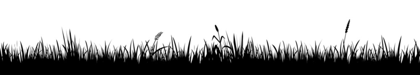 vector black silhouette of grass on white background © Julia