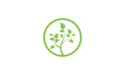 green leaf icon