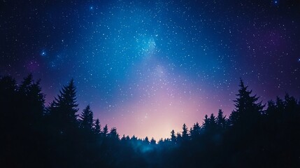 Fototapeta premium a night sky with stars and a forest silhouetted by trees