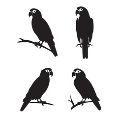 Minimalist Parrot Silhouette Design Bundle