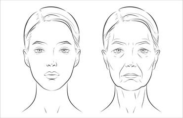 Woman’s face sketch, line vector drawing illustration, youth and age female. Minimalist black-and-white design in realistic style, perfect for skincare ads, anti-aging campaigns, beauty concept
