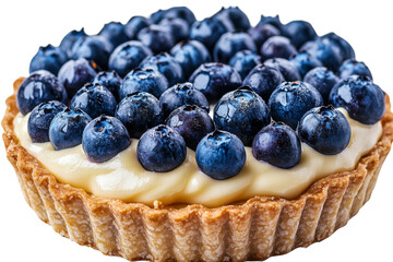 Fresh blueberry tart with creamy filling and crust