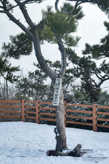 전북 군산