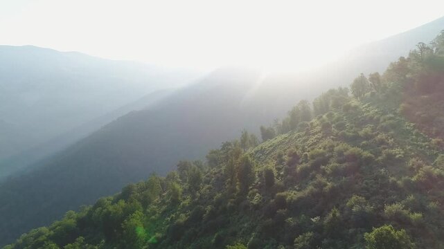fog in the mountains
