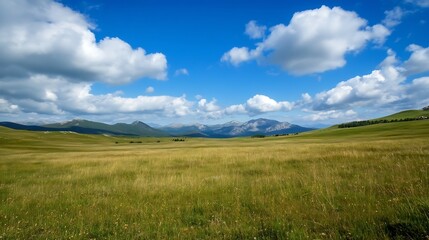 Breathtaking view of a lush green field under a bright blue sky adorned with fluffy clouds : Generative AI