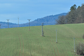 Power poles over an agricultural field with the sky in the background