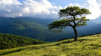 Fototapeta premium Majestic Lone Tree Standing Proudly on a Rolling Hill with Vibrant Greenery and Blue Skies : Generative AI