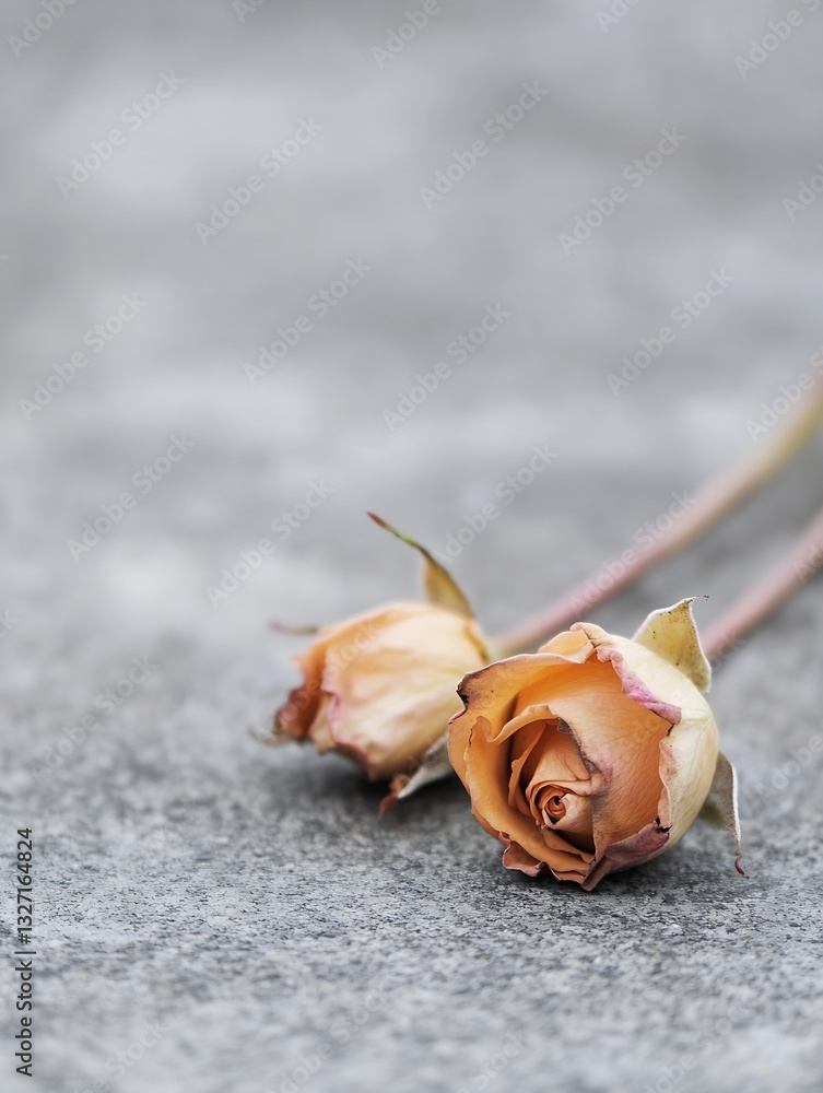 Poster beautiful wilted rose flowers resting on a textured surface in soft natural light : generative ai