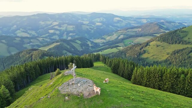 Aerial view of tranquil pasture with a mountain cross and grazing cows surrounded by lush greenery and forests, Sommeralm, Styria, Austria.