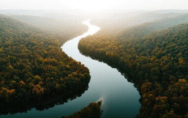 Naklejka premium Aerial view of a meandering river flowing through a lush forest. The river reflects the autumn colors of the surrounding trees, creating a serene and peaceful atmosphere. Sunlight filters through the