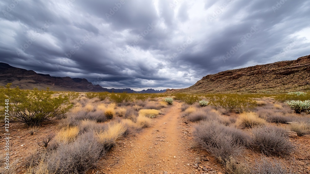 Aufkleber Desert Path Leading Through Dry Terrain with Dramatic Dark Clouds Overhead in a Natural Setting : Generative AI