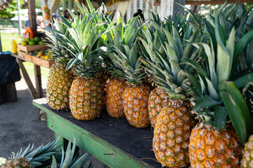 Ananas im Strassenverkauf