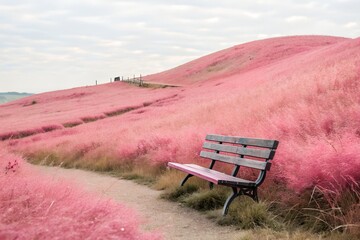 bench in the field