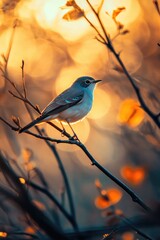 Obraz premium A small blue bird perched on a tree branch