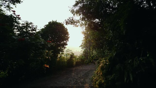 Mount Cinnamon Luftaufnahme - Sri Lanka