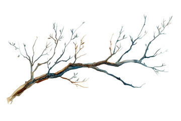 Watercolor branch illustration, transparent background