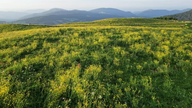 Aerial view of peaceful green pasture and rolling hills under a blue sky, Sommeralm, Styria, Austria.