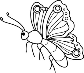 hand drawn butterfly