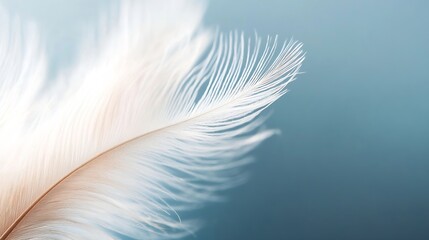 Obraz premium Delicate white feather against soft blue background showcasing natural beauty : Generative AI