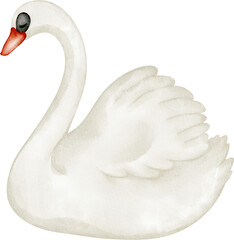 watercolor swan © Je