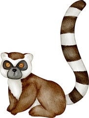 watercolor lemur