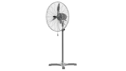Fan