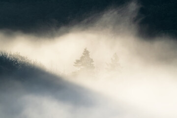 Eifel landscape, Rhineland-Palatinate, Germany