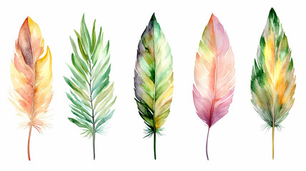 Colorful watercolor feathers, design element