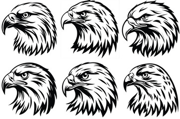 Majestic Eagle Hawk Bird of Prey Illustration with Sharp Eyes and Powerful Feathers