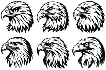 Majestic Eagle Hawk Bird of Prey Illustration with Sharp Eyes and Powerful Feathers