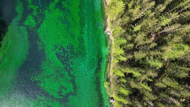 Aerial view of a tranquil green lake surrounded by lush forest and trees, Gruner See, Bruck an der Mur, Styria, Austria.