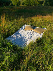 Bed with pillows stands on grass in forest with trees in background. Outdoor sleeping place...