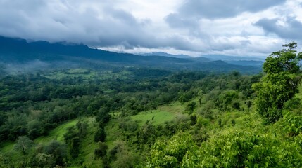 Naklejka premium Lush green hills under cloudy sky revealing breathtaking forested landscape mountains : Generative AI