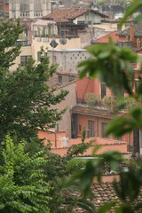 Immeubles romains de couleurs ocres dans la végétation