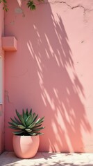 Succulent Plant Against a Pink Wall Creates a Serene and Modern Atmosphere Outdoors