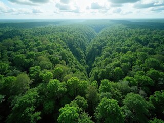 Lush Green Valley Landscape Under a Cloudy Sky