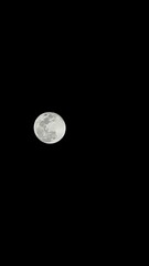 full moon in the night