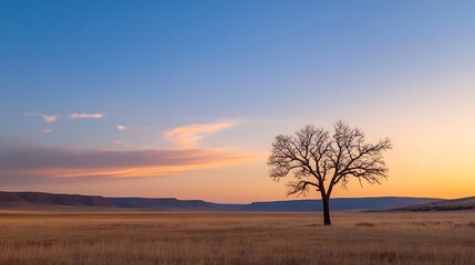 Lone tree standing against colorful sunset sky in open field displaying nature's beauty : Generative AI
