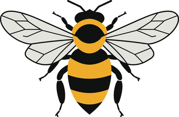 Detailed illustration of a honey bee with vibrant yellow and black stripes in a minimal flat design vector art