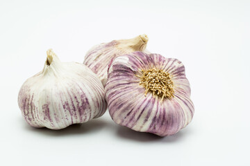 Cabezas de ajos morados ecológicos