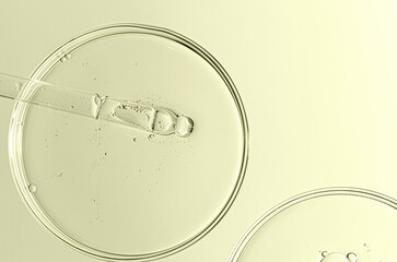 The texture of a cosmetic serum or body gel in a Petri dish.