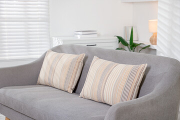 Soft decorative pillows on sofa in room