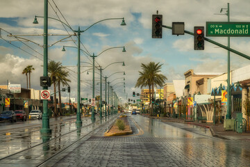 After the rain in Mesa
