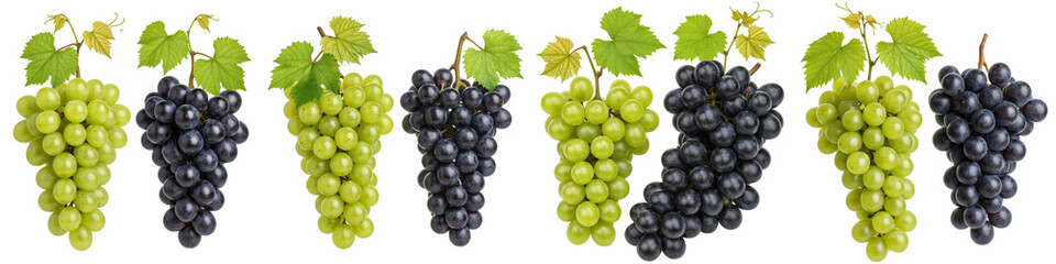 Obraz premium Set of Green and Black Grapes