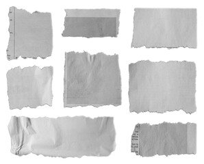 Torn pieces of paper
