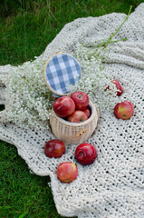 basket with fresh apples