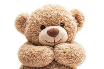 Soft teddy bear with friendly expression and plush fur