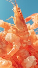 bunch of Raw Colossal Peeled Shrimps